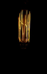 selective focus of an incandescent bulb