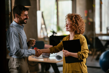 Colleagues in office. Businesswoman and businessman handshake in office...