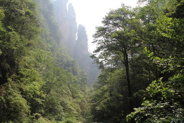 view of the mountain