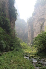 mountain river in the morning