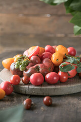 Fototapeta na wymiar The harvest of assorted tomatoes. Organic green, red, yellow, orange tomatoes.