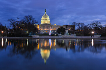 Fototapeta premium United States Capitol Building and traditional Christmas Tree in capitol Grounds at night - Washington D.C. United States of America