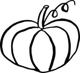 A large pumpkin drawn by the contour. Pumpkin is the fruit of autumn.