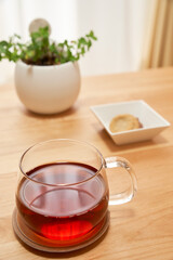 リビングで過ごす午後_紅茶とクッキーと観葉植物