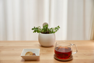 リビングで過ごす午後_紅茶とクッキーと観葉植物