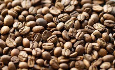 Coffee bean background close up