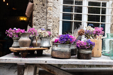 Ornamental plants of different types in pots on the bench