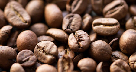 Coffee bean background close up