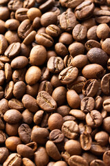 Coffee bean background close up