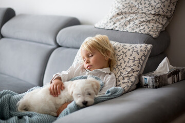 Sick child, toddler boy lying on the couch with his white puppy in living room with fever, resting