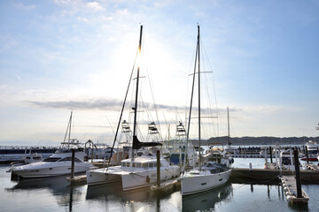 Naklejka premium 逆光に滲む逗子マリーナに繋留するクルーザー