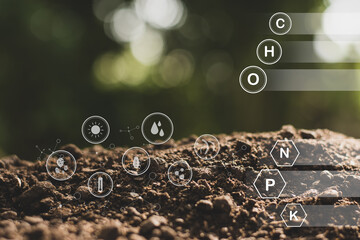 Soil texture background, Fertile loam soil suitable for planting.