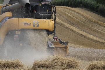 Farm machinery combine harvester working on farm land summer 2020