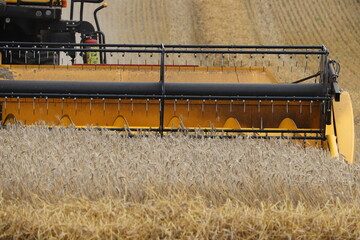 Fototapeta na wymiar Farm machinery combine harvester working on farm land summer 2020