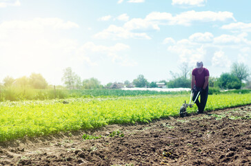 Farmer cultivates a carrot plantation. Land soil cultivation. Loosening earth to improve land...