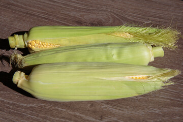 Fresh green corn cobs. Corn as a concept of a vegan food.