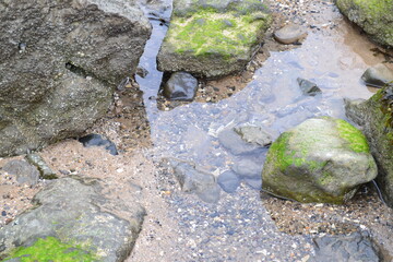 Rock Pool