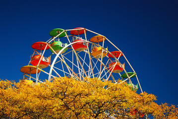 A Ferris wheel rises over fall foliage at the State Fair