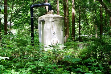 The water tank in Japanese forest.