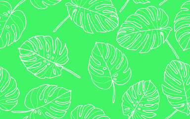 Fototapeta na wymiar Seamless pattern with monstera leaves Pattern. Vector, Hand-drawn leaf silhouettes. outline illustration, Summer seamless pattern background.