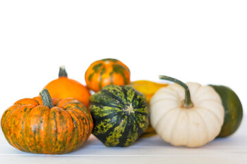Different kinds of pumpkins on white background