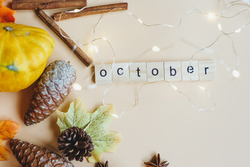 October word, On a background with pumpkins, squash, pine cones. Autumn composition.
