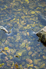 water and rocks, water and stones