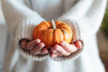 Woman hands holding a orange pumpkin