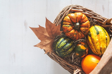 Top view of pumpkins in wicker basket on rustic white wooden table with copy space