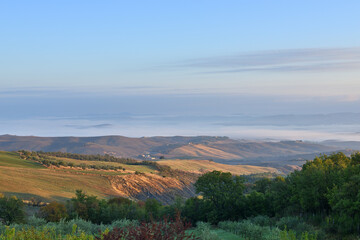 Tuscan rural landscape