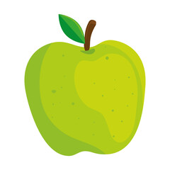 apple green fruit on white background vector illustration design