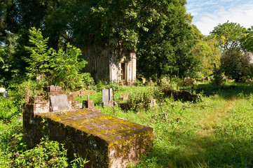 Jesuit reduction Santa Ana, Cemetery, Misiones Province, Argentina, South America