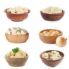 Set of tasty dumplings isolated on white