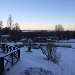 winter in the park