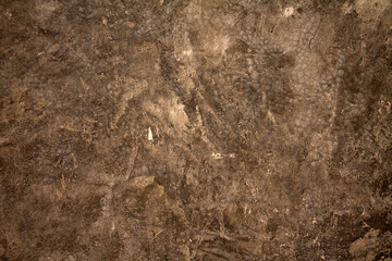 texture of the old wood