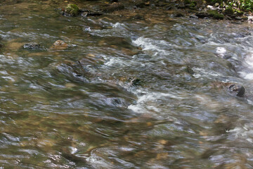 Cascades in the Sunshine