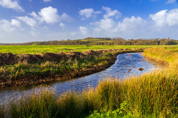 Windy December walk over Pett Level with Hog Hill in the background east Sussex, South east England, UK

