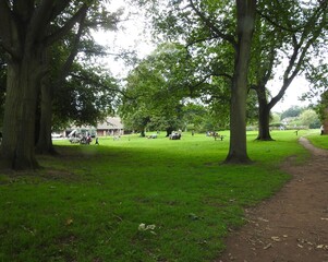 Obraz premium path in the park