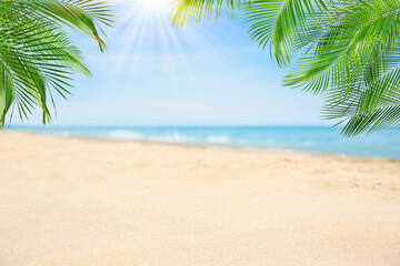 Fototapeta na wymiar Sandy beach with palms near ocean on sunny day