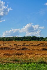 View of a wheat field after harvest in the New Jersey countryside