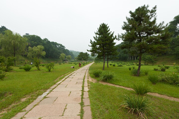 Fototapeta na wymiar lawn and trees in a park, north china