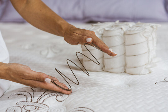 Mattress spring in the hands of a woman. Pocket independent spring. The concept of filling a mattress. 