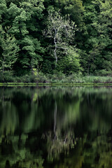 Fototapeta na wymiar Reflections on a beautiful lake.