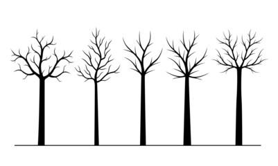 Set black naked Trees. Vector outline Illustration. Plant in Garden.