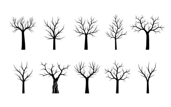 Set black naked Trees. Vector outline Illustration. Plant in Garden.