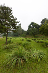Obraz premium lawn and trees in a park, north china