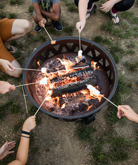 Marshmallows Roasting Over an Open Bonfire Pit from Above, Bird's Eye View of Bonfire Pit, Multiple Ethnicities, Multi-Ethnic Party