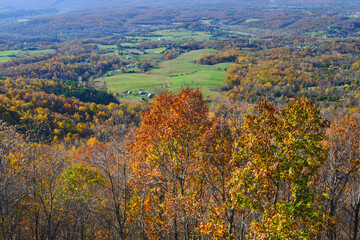 Autumn foliage in Shenandoah National Park - Virginia, USA