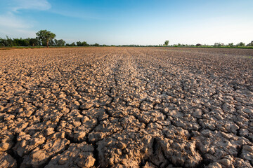 The ground in the field that was so barren that it was parched And the evening sun