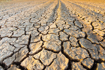 The ground in the field that was so barren that it was parched And the evening sun